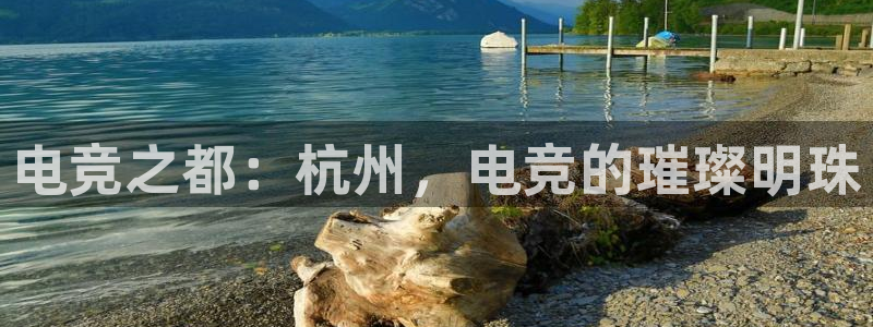 MK电竞官网