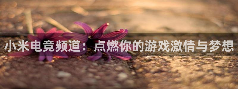mk电子竞技：小米电竞频道：点燃你的游戏激情与梦想