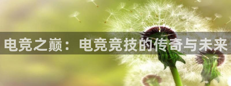 MK电竞：电竞之巅：电竞竞技的传奇与未来