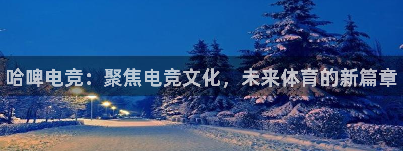 MK电竞：哈啤电竞：聚焦电竞文化，未来体育的新篇章