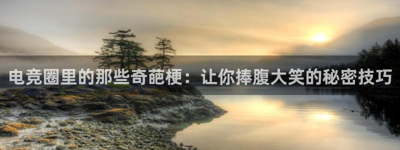 MK电竞：电竞圈里的那些奇葩梗：让你捧腹大笑的秘密技巧
