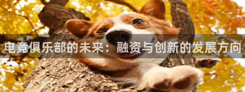MK电竞：电竞俱乐部的未来：融资与创新的发展方向