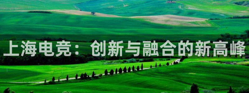 mk电子竞技：上海电竞：创新与融合的新高峰