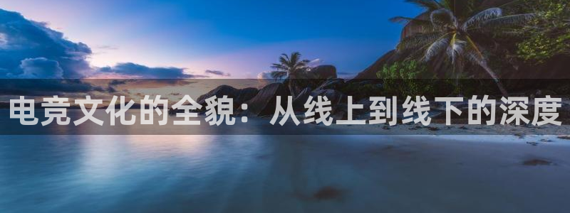 mk电子竞技：电竞文化的全貌：从线上到线下的深度