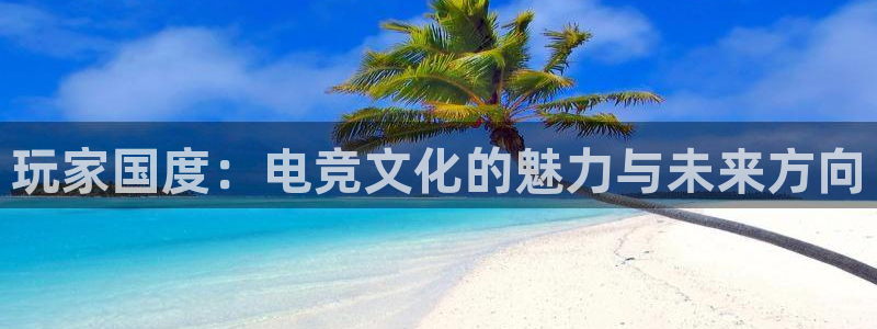 MK电竞官网：玩家国度：电竞文化的魅力与未来方向