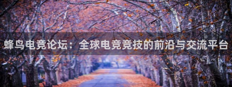 mk电子竞技：蜂鸟电竞论坛：全球电竞竞技的前沿与交流平台