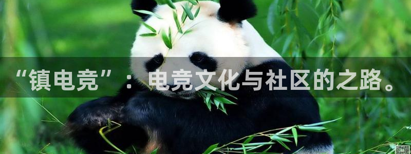 mk电子竞技：“镇电竞”：电竞文化与社区的之路。