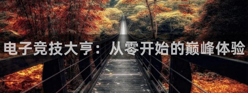 mk电子竞技：电子竞技大亨：从零开始的巅峰体验